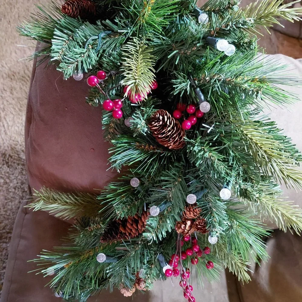 Festive Green and Red Holiday Winter 24